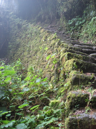 inca trail steps