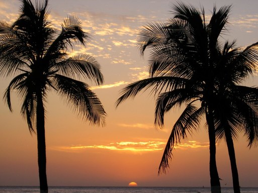 cartagena sunset palm trees ocean