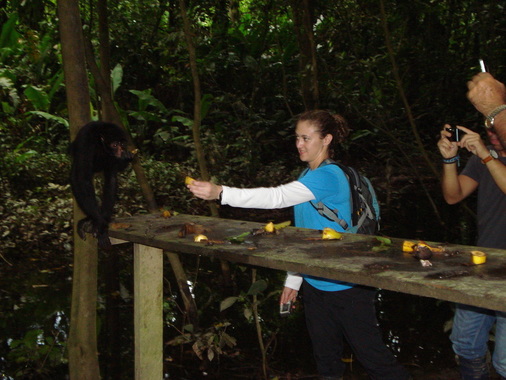 feeding monkeys island puerto maldonado peru