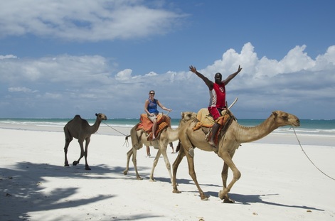 Camel Ride Diani Beach