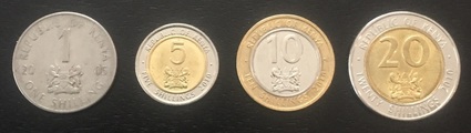 argentina peso currency coins