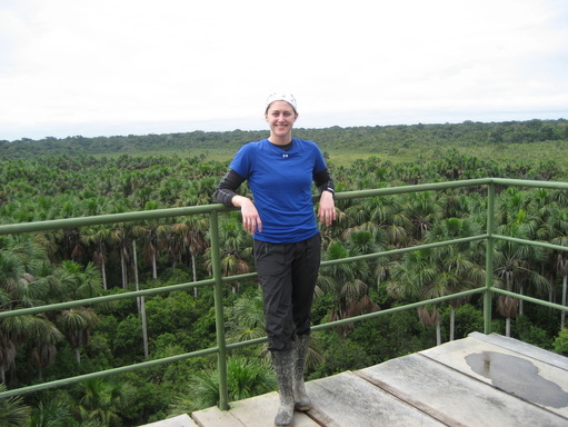 Jungle Canopy Observation Tower