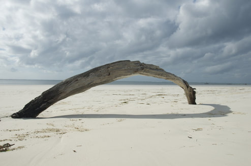 Galu Beach Arch Limb